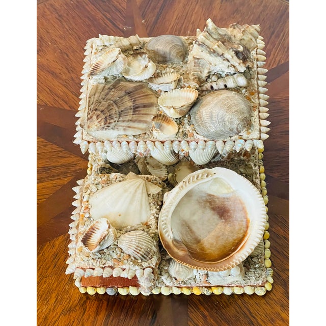 1930s Antique Sailors Valentines Sea Shell Match Box Collectible For Sale - Image 5 of 5