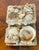 1930s Antique Sailors Valentines Sea Shell Match Box Collectible For Sale - Image 5 of 5