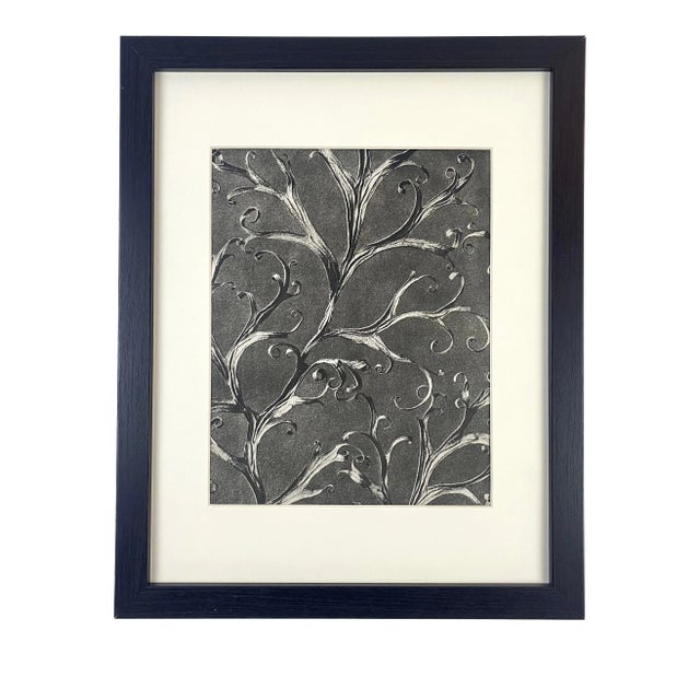 1940s Framed Botanical Blossfeldt Print - No. 40 For Sale
