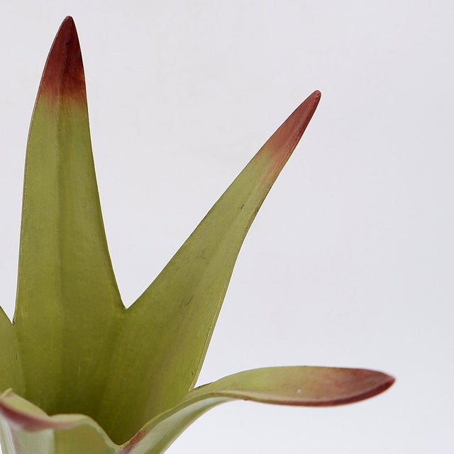 Vintage German Botanical Model of the Lamium Purpureum Flower, 1930s For Sale - Image 9 of 12