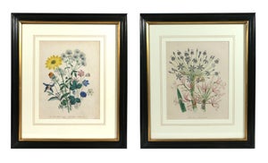 Mid 19th Century Jane Wells Loudon Botanical Prints Framed - a Pair