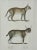 Original lithograph by Heinrich Rudolf Schinz and published by Brodtmann in Zurich, 1824. Unframed, mat included....