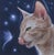 Delicious by Sybiline | Oil on paper pasted panel Cat licking its lips with a butterfly in a starry background. For Sale