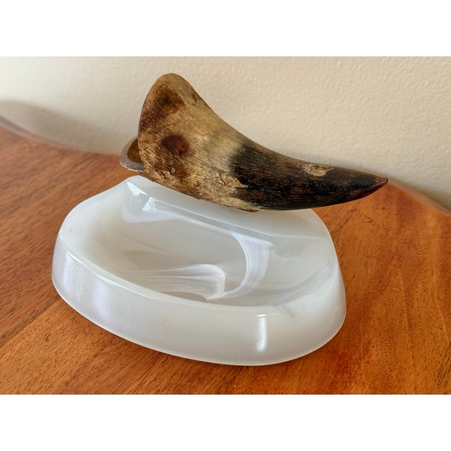 Mid 20th Century Natural Bull Horn Cigerette Ashtray For Sale - Image 5 of 6