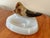 Mid 20th Century Natural Bull Horn Cigerette Ashtray For Sale - Image 5 of 6