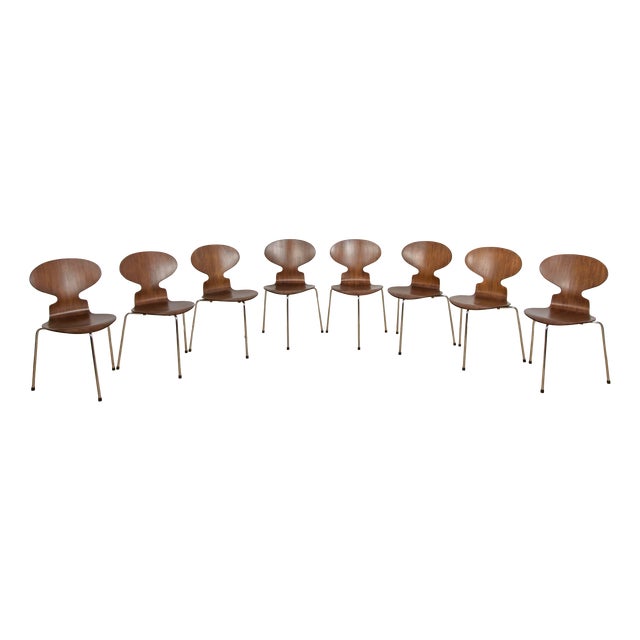 Mid-Century Model 3101 Ant Dining Chairs by Arne Jacobsen for Fritz Hansen, Denmark, 1970s, Set of 8 For Sale