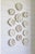 Wedgwood Set of 10, Wedgewood Cream Reticulated Plates For Sale - Image 4 of 6