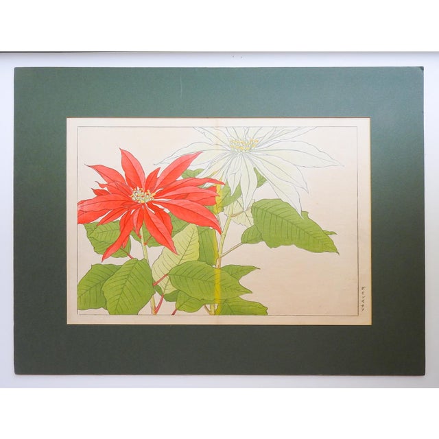 Early 20th Century Tanigami Konan Poinsettia Japanese Woodblock Print For Sale - Image 4 of 6