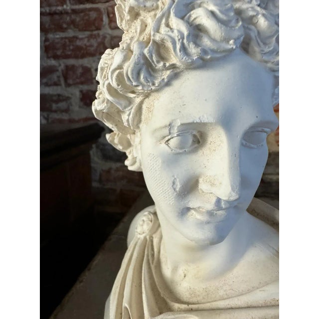 Classical Plaster Bust of Apollo Belvedere | Italian Mythological Sculpture For Sale - Image 6 of 6