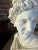 Classical Plaster Bust of Apollo Belvedere | Italian Mythological Sculpture For Sale - Image 6 of 6