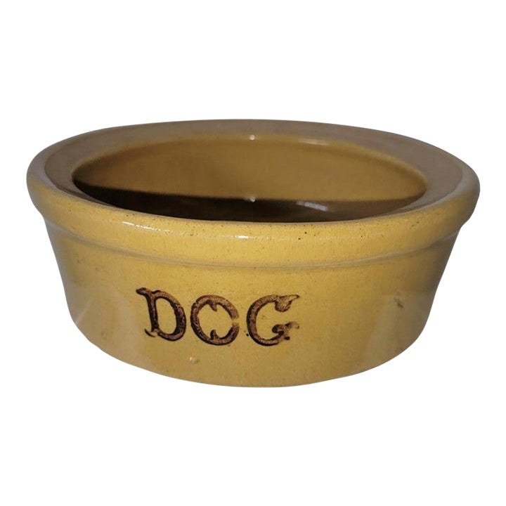Antique Roseville Stoneware Dog Bowl Chairish