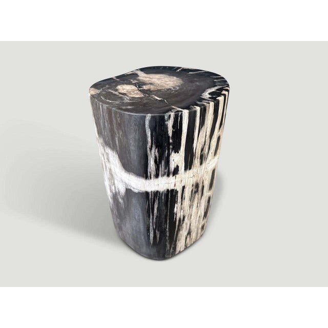 "Beautiful tones and markings on this impressive petrified wood side table. It’s fascinating how Mother Nature produces...
