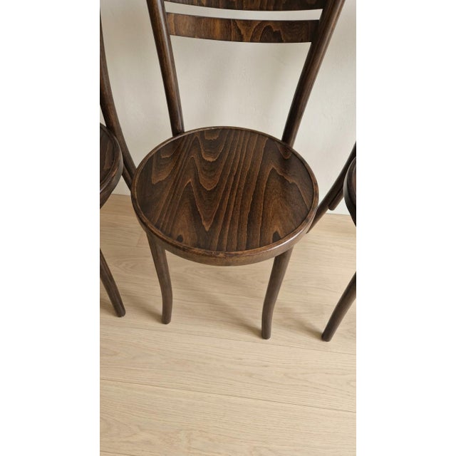 Vintage Ton Wooden Dining Chairs, 1940s, Set of 4 For Sale - Image 14 of 16