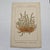 Original 19th-century French botanical lithograph by renowned botanist **Henri Ernest Baillon**, published in Paris...