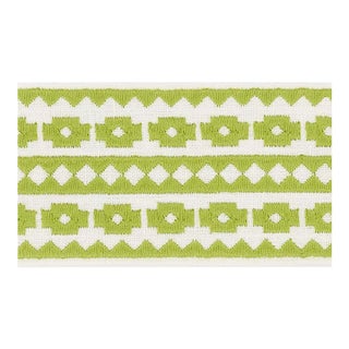 Sample - Schumacher Talitha Tape in Leaf For Sale