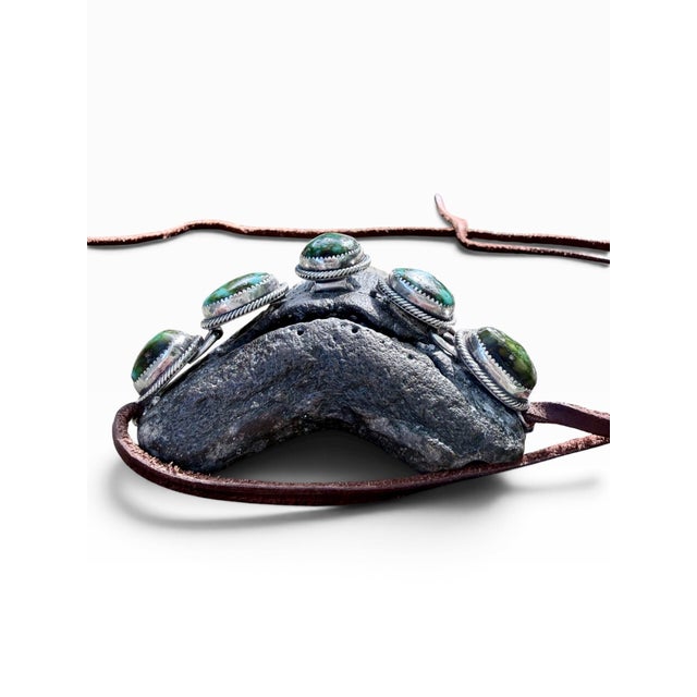 Roie Jaque Navajo Sterling Silver Turquoise Megalodon Tooth Pendant Necklace For Sale - Image 16 of 18