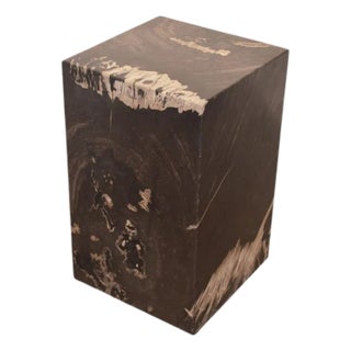 Andrianna Shamaris Minimalist Petrified Wood Side Table For Sale