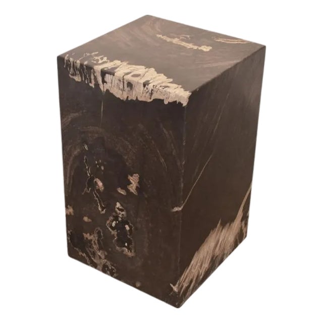 Andrianna Shamaris Minimalist Petrified Wood Side Table For Sale