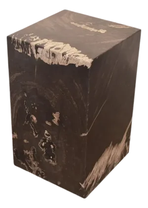 Andrianna Shamaris Minimalist Petrified Wood Side Table