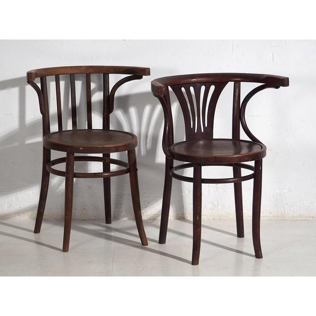 Chairs with Armrests from Thonet, 1920s, Set of 4 For Sale - Image 10 of 18