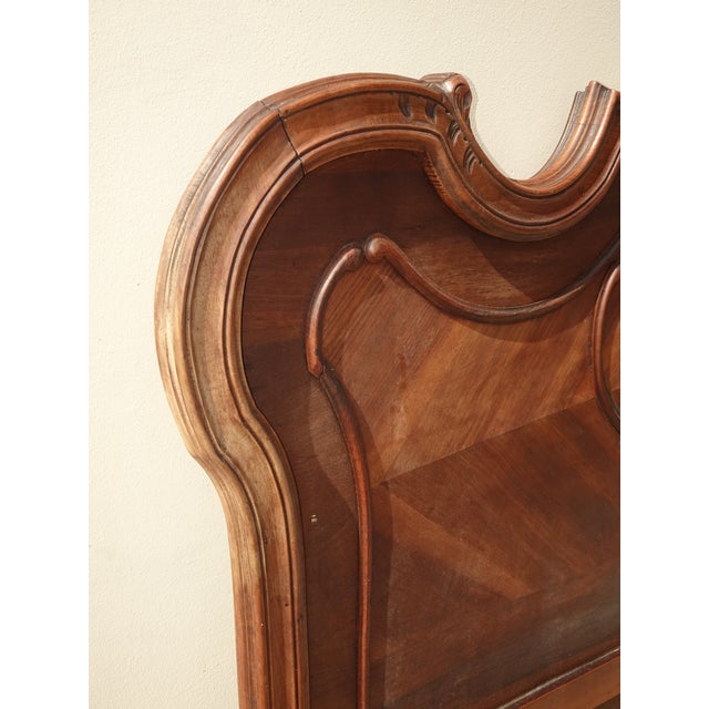 Bed Frame ~ Antique French Louis XVI Brown Headboard Fb & Rails For Sale - Image 13 of 13