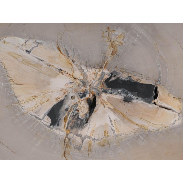 Contemporary Petrified Wood Coffee Table by Xyleia Petrified Wood For Sale - Image 3 of 4