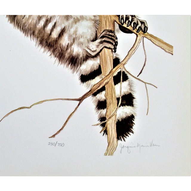 Jacquie Marie Vaux, Racoon, Circa 1990 For Sale - Image 4 of 5