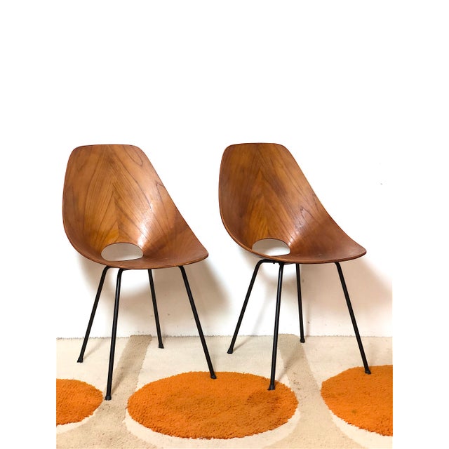 Mid-Century Modern Curved Plywood Chairs by Vittorio Nobili, Italy, 1950s, Set of 2 For Sale - Image 3 of 18