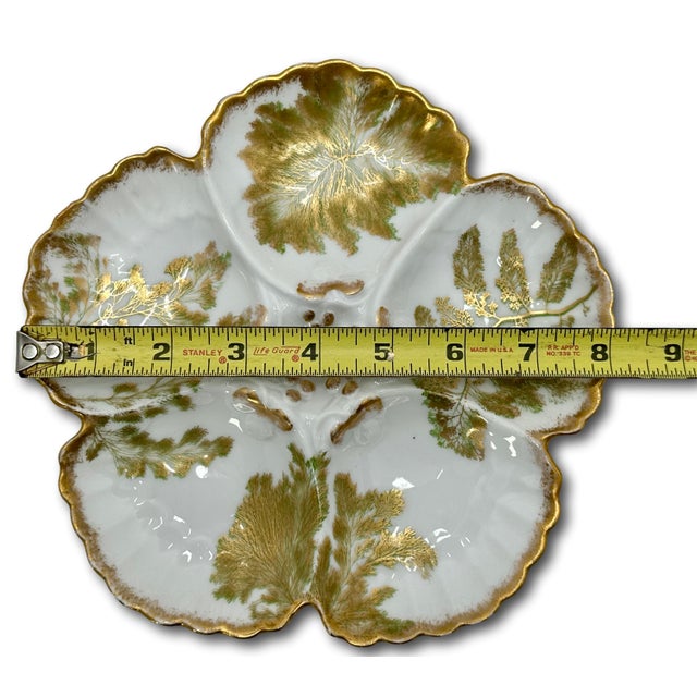 Antique French Limoges Porcelain Oyster 22k Gold & Ferns Decorated Plates Set of 7 For Sale - Image 16 of 18