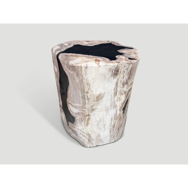 Striking tones on this high quality petrified wood side table. It’s fascinating how Mother Nature produces these exquisite...