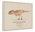 Introduce a spectacular commanding masterpiece of original contemporary fine art profound prehistoric narrative and...