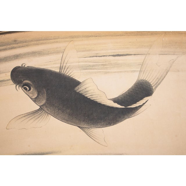 Early 20th Century C. 1912-1920s After Kawamura Gyokusui "Carp Leaping the Waterfall" Printed Japanese Scroll For Sale - Image 5 of 15