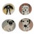 Sally Muir Dog-a-Day Dessert Plate Set of 4 For Sale