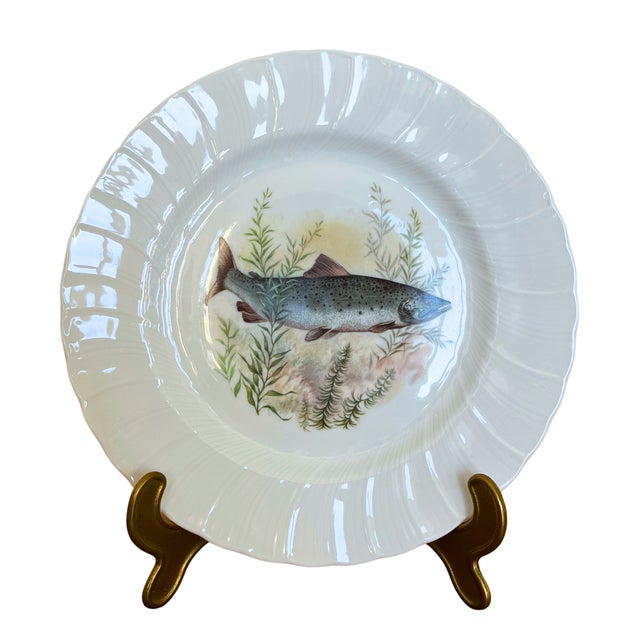 Porcelain Fish Plates Service for 12 with Hand-Painted Freshwater Fish from Limoges, France, 1930s, Set of 12 For Sale - Image 3 of 11
