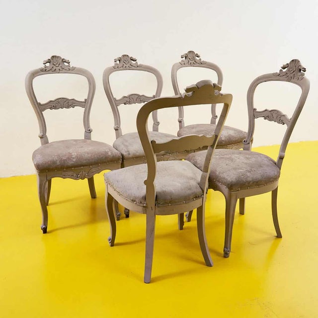 5 Dove Gray Chairs, 1900s, Set of 5 For Sale - Image 5 of 8