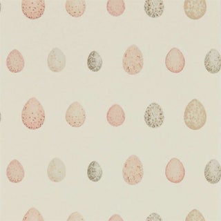 Sanderson Nest Egg Wallpaper in Blush pink For Sale