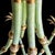 Vintage Bespoke “The Philippe” a Palm Beach mRegency Parcel Hand Gilt Tole Faux Bamboo Six Arm Chandelier - Newly Painted For Sale - Image 9 of 13