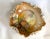 A beautiful hand painted Noritake bowl with a woodland motif, exquisitely painted walnuts and leaves. Rich gold and blue...