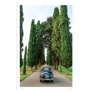 Amanda Ludovisi, Topolino, Giclée Print, 2018 For Sale