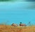 Northern California Duck Lake, Realist Landscape, Oil on Canvas, 1990s by Luke Stamos For Sale In Monterey, CA - Image 6 of 8