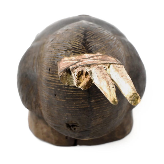 Early 20th Century Early 20th Century Yaure Baule Portrait Mask Côte d'Ivoire For Sale - Image 5 of 7
