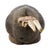 Early 20th Century Early 20th Century Yaure Baule Portrait Mask Côte d'Ivoire For Sale - Image 5 of 7