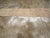 Galerie Shabab Collection Mid-20th Century Turkish Anatolian Runner For Sale In New York - Image 6 of 10