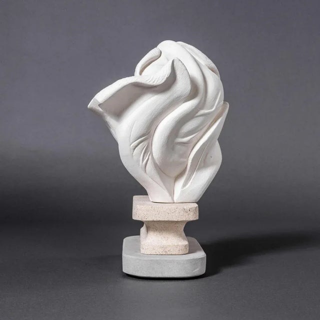 Contemporary Marcia Bennett-Male, Chalk Pit Cauliflower, Stone For Sale - Image 3 of 14