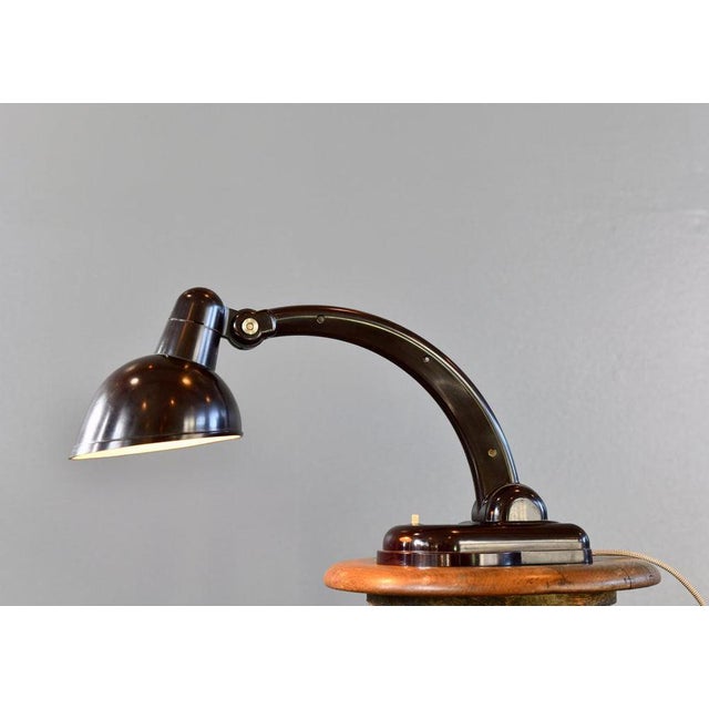 Plastic Bauhaus Table Lamp by H. Römmler Stotz, 1930s For Sale - Image 7 of 8