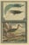 Colored Print of Birds of Paradise and the Eurasian Woodcock, 1726 For Sale