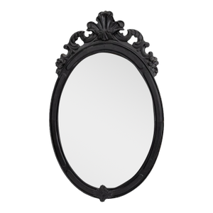 Rococo Style Ebonized Wood Wall Mirror