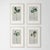 Wood 14.2" by 18.9" Set of 4 - Contemporary Dark Green Botanical Organic Modern Original Oil Paintings / Herbarium / Floral / Earth Tones For Sale - Image 7 of 8