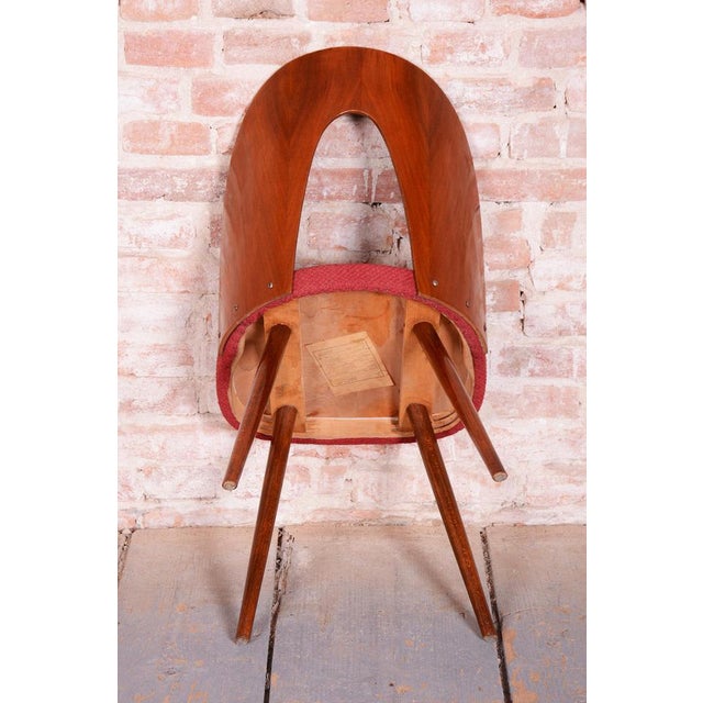 Mid-Century Walnut Chairs from Antonín Šuman, Czech, 1950s, Set of 4 For Sale - Image 14 of 18