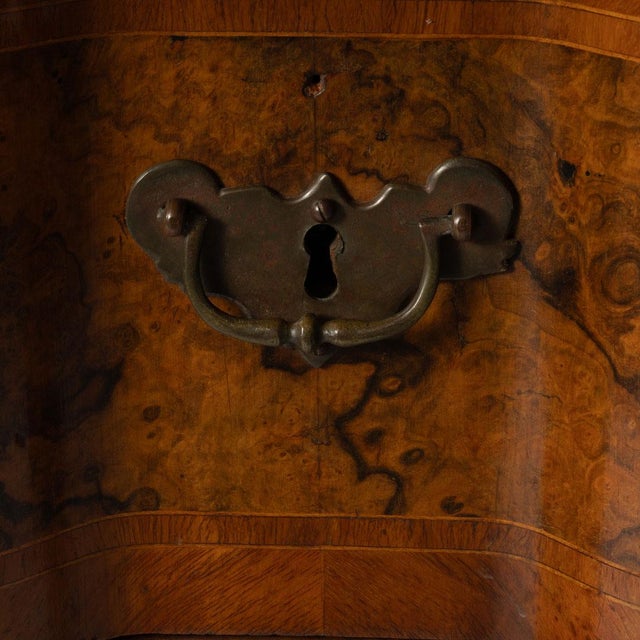 Wood 19th Century Italian Burl 2 Drawer Commode For Sale - Image 7 of 11